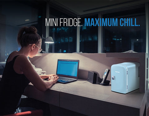 Portable Personable Fridge